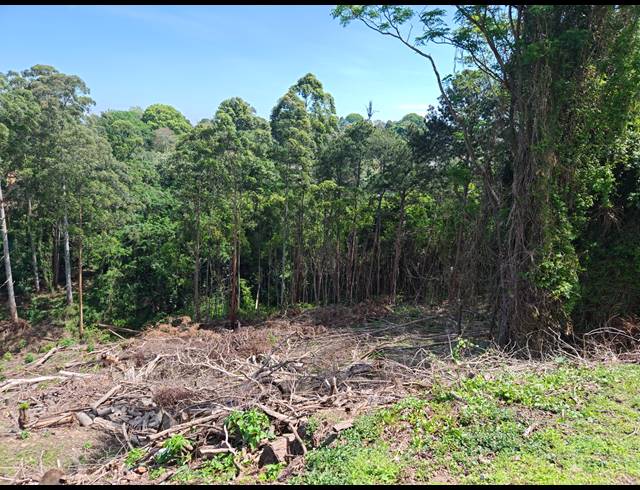 8,992M² VACANT LAND SOLD IN WESTVILLE